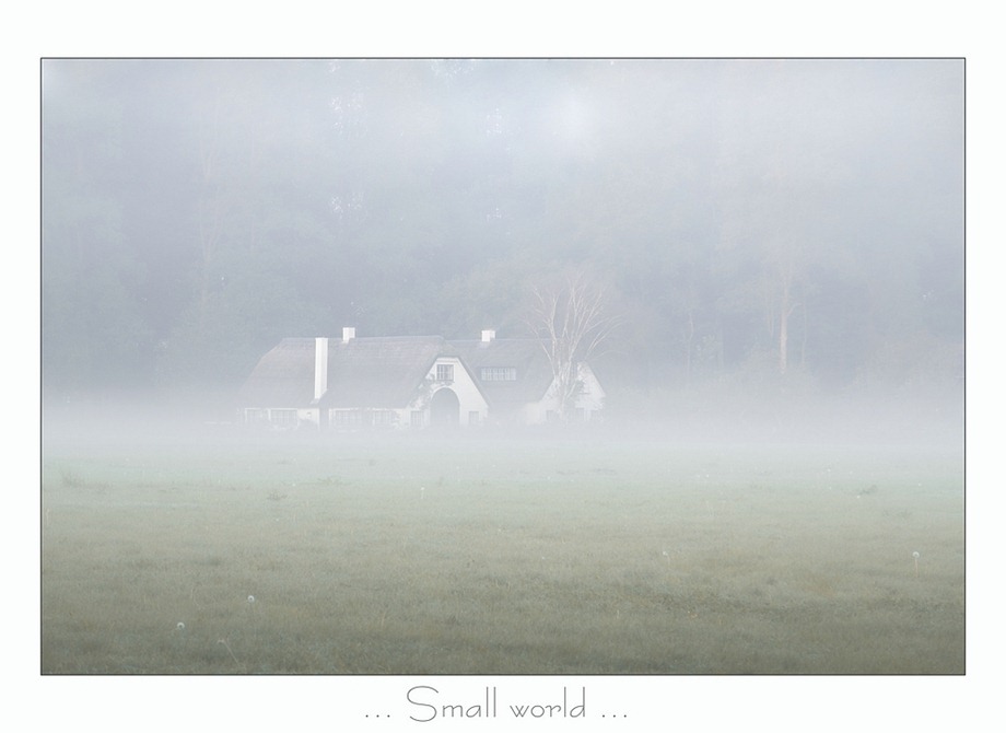 Mist 03
